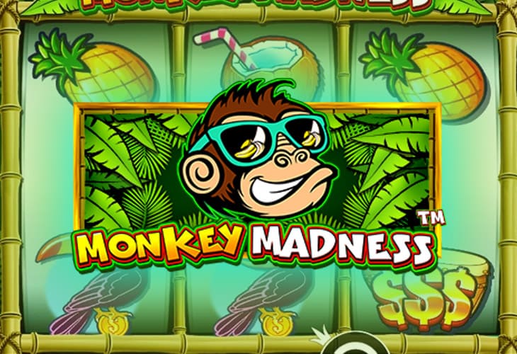 Monkey Madness - Pragmatic Play slot at Casino Dude Spin Casino